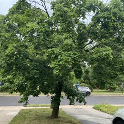 Wible's Tree Service
