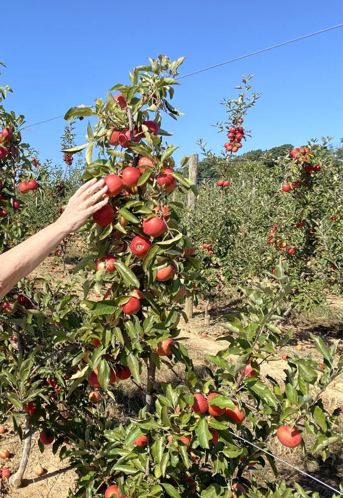 CROSS KEYS FARM Updated August 2024 10 Photos 3022 Cross Keys Rd