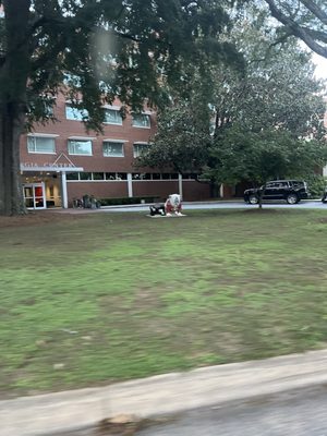 UGA Graduate School by null