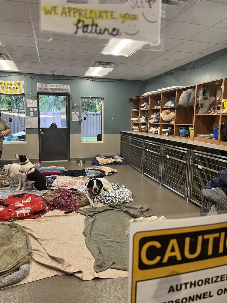 OLD FRIENDS SENIOR DOG SANCTUARY Updated October 2024 48 Photos 765 Nonaville Rd, Mt