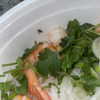 Pho Mai - Pho - Asian Fusion Near Me - Chino Hills, California Pho Mai - Pho - Asian Fusion Near Me - Chino Hills, California