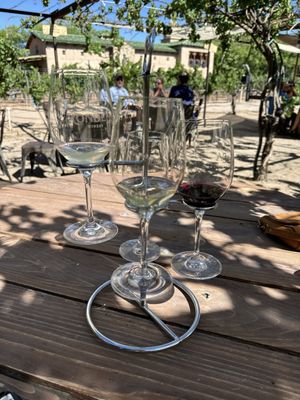 Casa Rondeña Winery by null