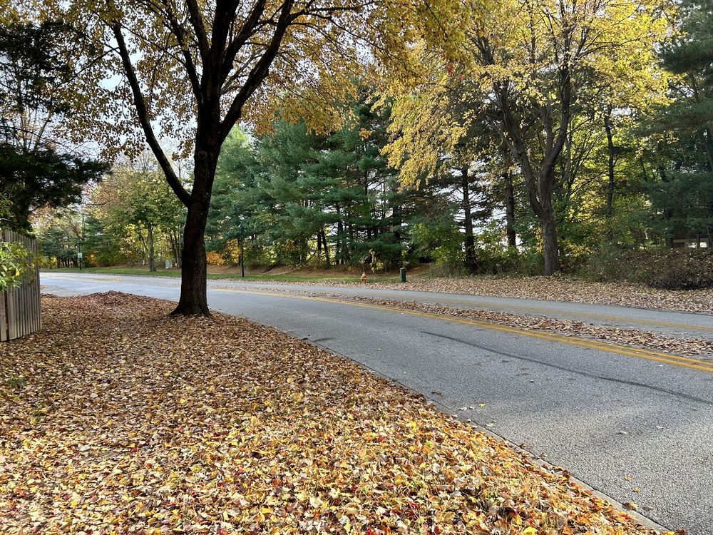 Columbia Association - social services organization in Columbia, MD