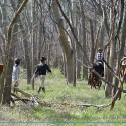 Conscious Rider - Horse Therapy: To live consciously with self-compassion, courage and surrender.