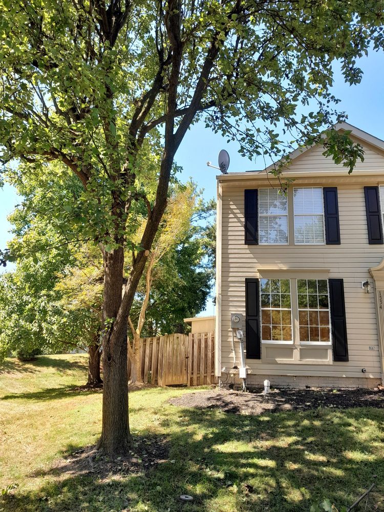 Slide of Albert Handyman Repair Service