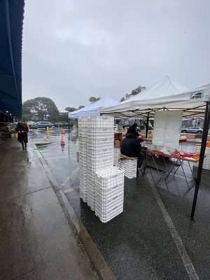 Alemany Farmer's Market by null