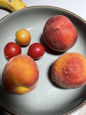 Barbour Farms by null