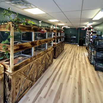 Central Mass Reptiles & Exotics - Reptile Shops Near Me - Sutton, Massachusetts Central Mass Reptiles & Exotics - Reptile Shops Near Me - Sutton, Massachusetts