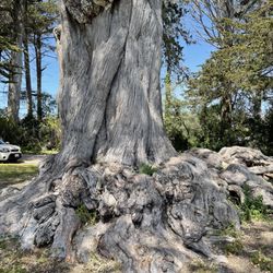 Spreckels Lake
