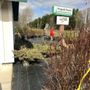 Photo of Birchfield Nurseries