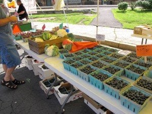 Lansdale Farmers' Market - outdoor market by null
