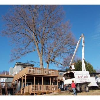 Ken Lamb Tree Service - Tree Services Near Me - Fredericksburg, Virginia Ken Lamb Tree Service - Tree Services Near Me - Fredericksburg, Virginia