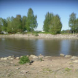Tervasaari