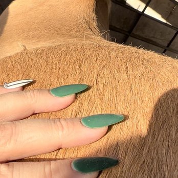 Nails By N - Gel X, Matte finish - Nail Salons Near Me - North Hollywood, California Nails By N - Gel X, Matte finish - Nail Salons Near Me - North Hollywood, California