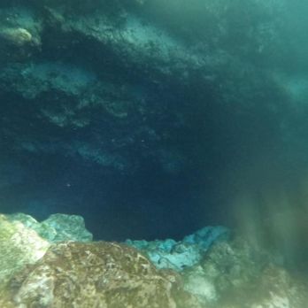 Ginnie Spring - Devils eye - Rafting/Kayaking Near Me - High Springs, Florida