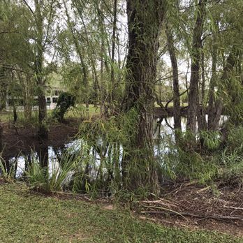 Whitney Plantation - The swamp. - Museums Near Me - Wallace, Louisiana Whitney Plantation - The swamp. - Museums Near Me - Wallace, Louisiana