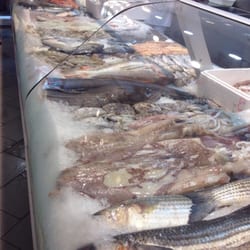 Poissonnerie d'Agadir - Au moins 6 variétés de poulpes et calamars. Qui dit mieux?