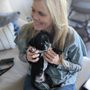 Photo of BetterVet Chicago - Mobile Vet Services