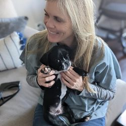 BetterVet Chicago - Mobile Vet Services
