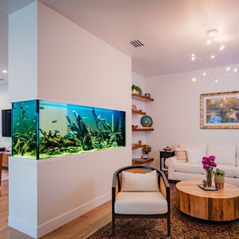 Ocean Treasures Servicing - 400 Gallons custom Room divider freshwater cichlid aquarium - Aquarium Services Near Me - San Francisco, California Ocean Treasures Servicing - 400 Gallons custom Room divider freshwater cichlid aquarium - Aquarium Services Near Me - San Francisco, California