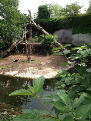 Copenhagen Zoo by null