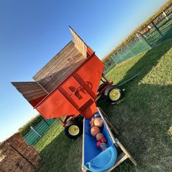 Trabbic Pumpkin Farm