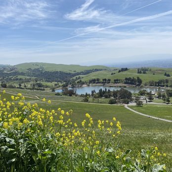 Ed R. Levin County Park - Dog Parks Near Me - Milpitas, California Ed R. Levin County Park - Dog Parks Near Me - Milpitas, California