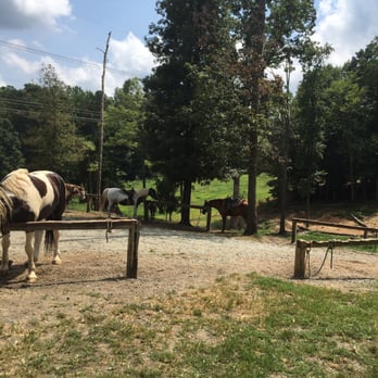Dead Broke Farm - Horseback Riding Near Me - Raleigh, North Carolina