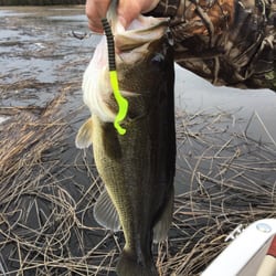 Kentuck Lake - The fishing is great!