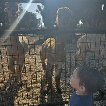 Back-to-Eden Ranch - Attraction Farms Near Me - Gilroy, California