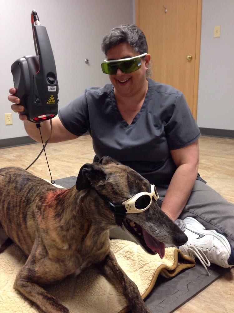 ANOTHER WAY VETERINARY REHAB & CHIROPRACTIC CARE Updated September 2024 2167 E 53rd St