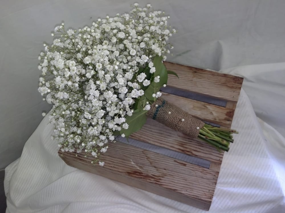 CRYSTAL SPRINGS FLORIST Updated August 2024 17 Photos & 14 Reviews