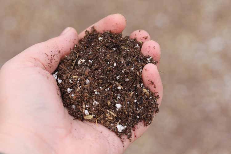 EVERGREEN SUPPLY Updated August 2024 18 Photos & 12 Reviews 33 Riverside Rd, Watsonville