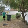 Photo of Father and Son Landscaping