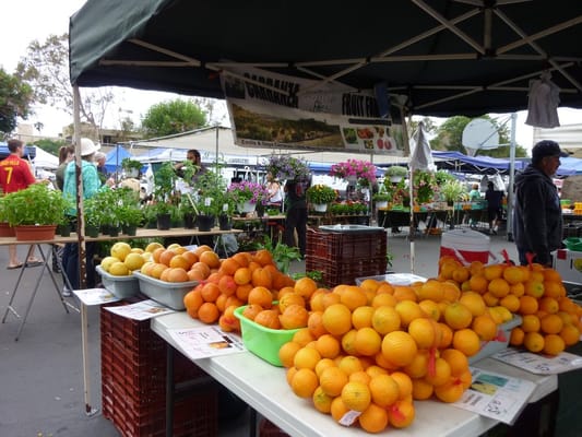 La Jolla Open Aire Farmers Market by null