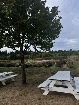 West Union Gardens by null
