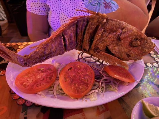 Pueblito Viejo by null