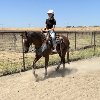 CA Horse & Pony - CA Horse and pony rider - Horseback Riding Near Me - Lathrop, California CA Horse & Pony - CA Horse and pony rider - Horseback Riding Near Me - Lathrop, California