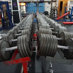 Stack's Gym