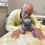 Photo of The Animal Doctor