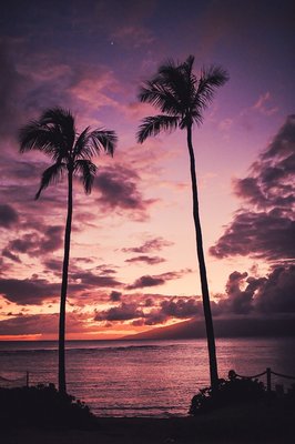 Kapalua Bay Beach by null