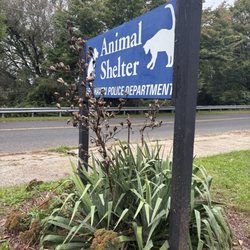 City of New Haven Animal Shelter
