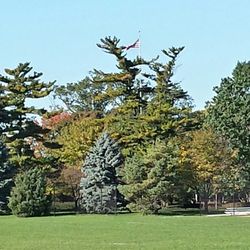 Lindberg Park - View looking west