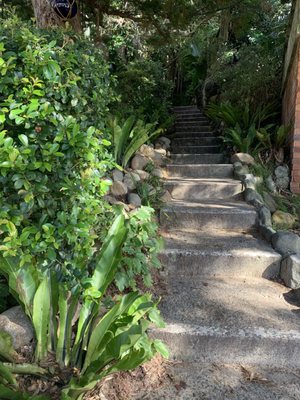The Boathouse Shelly Beach by null