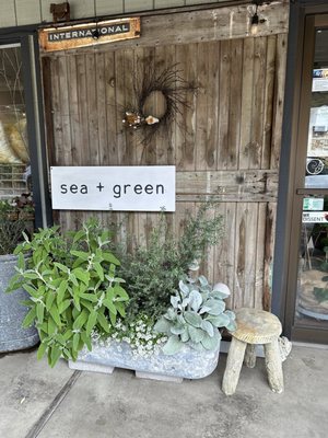 Sea + Green by null