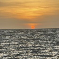 Sunshine Scenic Tours