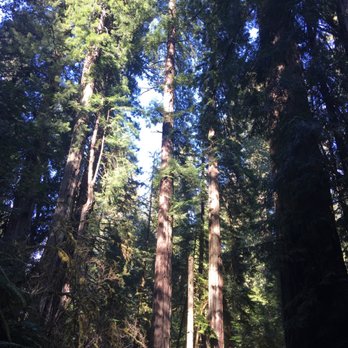 Point Defiance Park - Parks Near Me - Tacoma, Washington Point Defiance Park - Parks Near Me - Tacoma, Washington
