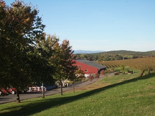 Barboursville Vineyards by null