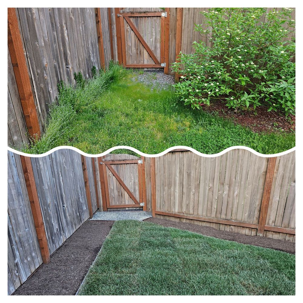 Merino’s Landscaping - the before and after of a fence - Lawn Services Near Me