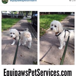 Mojo's IG welcome post!! Mojo's IG welcome post!!